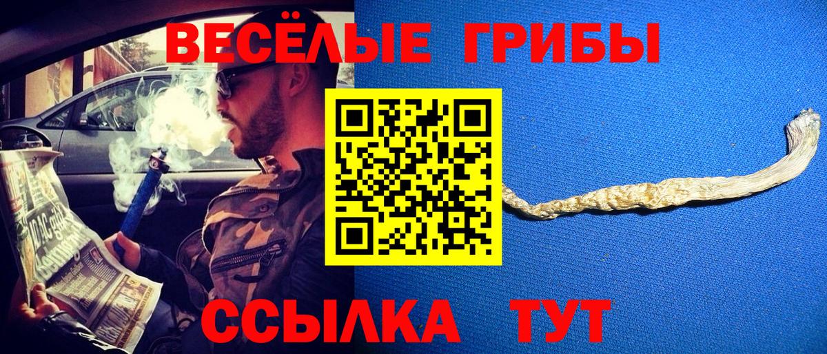 Галлюциногенные грибы Psilocybe  Вход с VPN  Дзержинский 