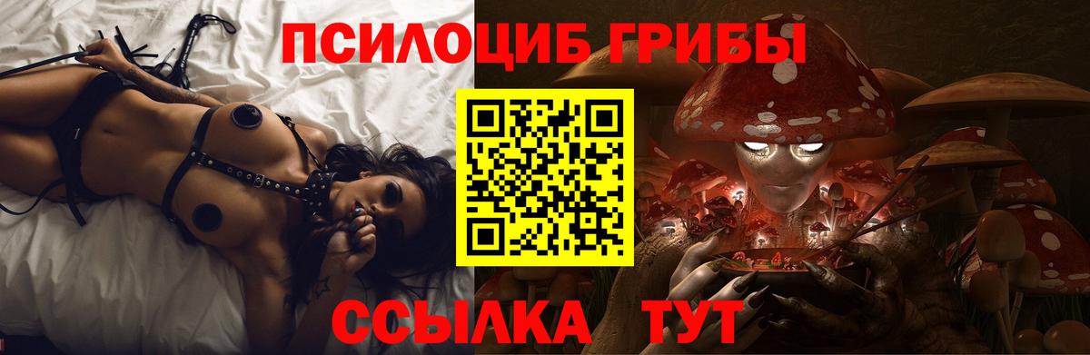 Псилоцибиновые грибы прущие грибы Дзержинский